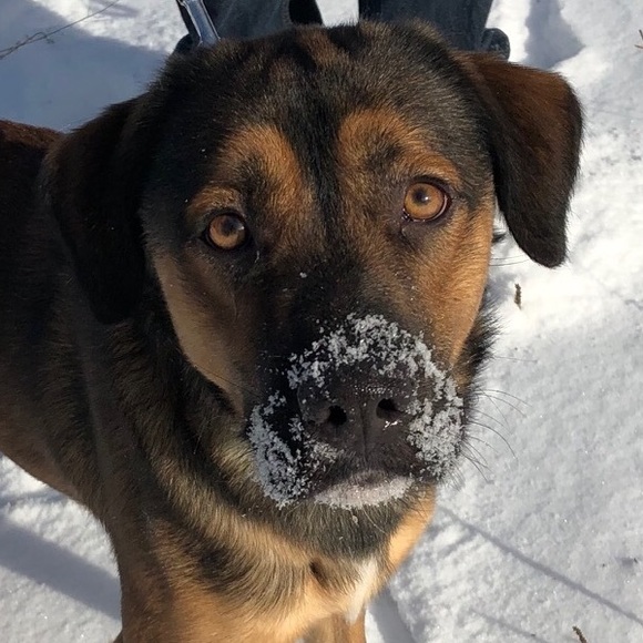 Meet your Posher, Helena - Picture 1 of 1